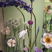 ヒメ日記 2026/03/31 11:44 投稿 えり 素人妻達☆マイふぇらレディー