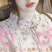ヒメ日記 2026/03/27 11:42 投稿 かなで 横浜人妻花壇本店