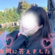 ヒメ日記 2026/07/22 14:00 投稿 かなで 横浜人妻花壇本店