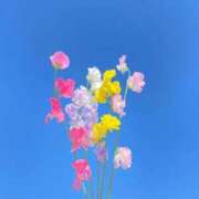 みお 水曜日出勤します🩵 秋葉原鑑賞ガール