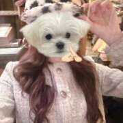 ヒメ日記 2026/01/24 06:46 投稿 星乃なのは 皇帝別館（こうていべっかん）