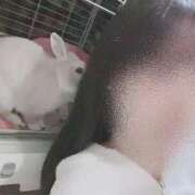 ヒメ日記 2025/11/07 07:12 投稿 ちゆ 東京リップ 池袋店