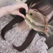 ヒメ日記 2025/12/28 16:36 投稿 ちゆ 東京リップ 池袋店