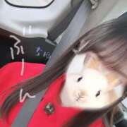 ヒメ日記 2026/02/11 16:32 投稿 ちゆ 東京リップ 池袋店