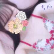 ヒメ日記 2026/02/17 19:53 投稿 ちゆ 東京リップ 池袋店