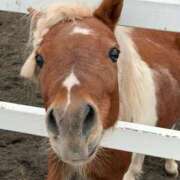あむろ ほっこり旅 ぐっすり山田 横浜店