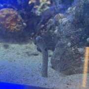 ヒメ日記 2025/12/15 10:02 投稿 みお Evolution 2nd