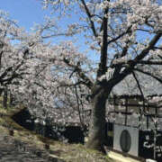 えま おはようございます TSUBAKI（水戸）