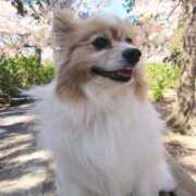 ヒメ日記 2025/11/04 14:20 投稿 あゆみ 妻天 尼崎店