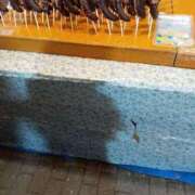 ヒメ日記 2026/01/10 11:21 投稿 あゆみ 妻天 尼崎店