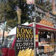 ヒメ日記 2026/01/31 11:46 投稿 あゆみ 妻天 尼崎店