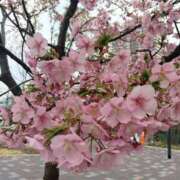 ヒメ日記 2026/02/26 17:44 投稿 あゆみ 妻天 尼崎店