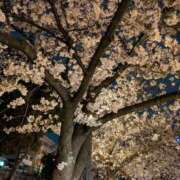 ヒメ日記 2026/04/04 08:00 投稿 あゆみ 妻天 尼崎店