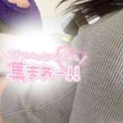 ヒメ日記 2025/11/26 20:17 投稿 椿【つばき】 ギャルズネットワークネクスト 京都