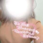 椿【つばき】 毎日 ギャルズネットワークネクスト 京都