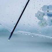 南条 凛乃 覚悟🌧️ CASA BIANCA（カーサ・ビアンカ）