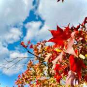 南条 凛乃 紅葉🍁 CASA BIANCA（カーサ・ビアンカ）