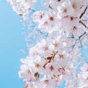 ヒメ日記 2026/03/31 23:36 投稿 南条 凛乃 CASA BIANCA（カーサ・ビアンカ）