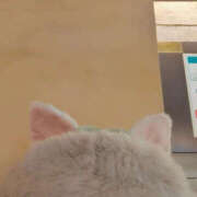 ヒメ日記 2026/10/14 08:53 投稿 つくし One More奥様 大宮店