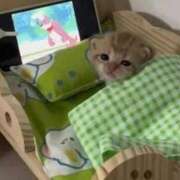 ヒメ日記 2025/10/16 00:54 投稿 ウイカ Club Hearts