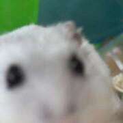 ヒメ日記 2025/10/18 20:38 投稿 ウイカ Club Hearts