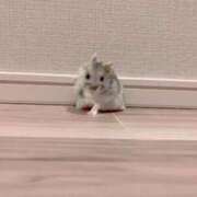 ヒメ日記 2025/10/19 01:08 投稿 ウイカ Club Hearts