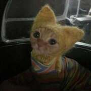 ヒメ日記 2025/10/26 01:06 投稿 ウイカ Club Hearts