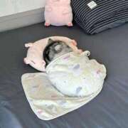 ヒメ日記 2025/11/09 00:56 投稿 ウイカ Club Hearts