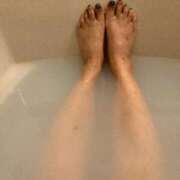 ヒメ日記 2025/10/26 10:25 投稿 ひなの 横浜おかあさん