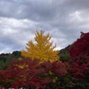 ヒメ日記 2025/10/27 20:55 投稿 ひなの 横浜おかあさん