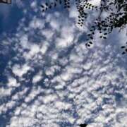 ヒメ日記 2025/11/10 10:05 投稿 ひなの 横浜おかあさん