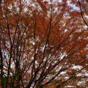 ヒメ日記 2025/11/10 23:05 投稿 ひなの 横浜おかあさん