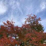 ヒメ日記 2025/11/12 19:45 投稿 ひなの 横浜おかあさん