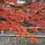 ヒメ日記 2025/12/02 13:07 投稿 ひなの 横浜おかあさん