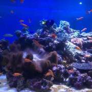 ヒメ日記 2025/10/26 19:32 投稿 相沢 しおり ベストマダム