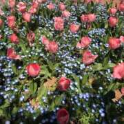 ヒメ日記 2025/10/28 11:42 投稿 相沢 しおり ベストマダム