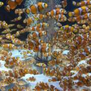 ヒメ日記 2025/10/29 00:13 投稿 相沢 しおり ベストマダム