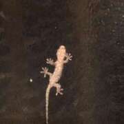 ヒメ日記 2025/10/31 07:57 投稿 相沢 しおり ベストマダム