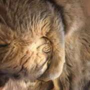 ヒメ日記 2025/10/31 20:45 投稿 相沢 しおり ベストマダム