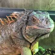 ヒメ日記 2025/11/02 13:05 投稿 相沢 しおり ベストマダム