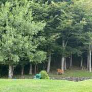 ヒメ日記 2025/10/09 20:55 投稿 いぶき♡極上SPコース♡ PANTHER（パンサー）