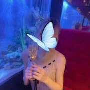 ヒメ日記 2025/11/04 07:35 投稿 じゅな BIKINISPA「真」-ビキニスパ-