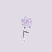 ヒメ日記 2025/11/14 17:07 投稿 すもも しろうとCollection