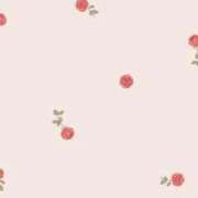 ヒメ日記 2025/11/18 03:27 投稿 すもも しろうとCollection