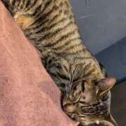 ヒメ日記 2025/11/05 23:13 投稿 桜田 サロン・ド・ティアラ 浜松店