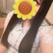 ヒメ日記 2026/03/25 18:12 投稿 まな CECIL