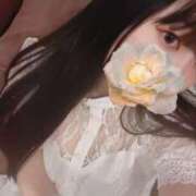 まな 今日います🐹 CECIL