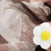 ヒメ日記 2026/04/21 13:30 投稿 まな CECIL