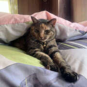 ヒメ日記 2026/01/07 19:03 投稿 ふう ANGEL KISS 池袋