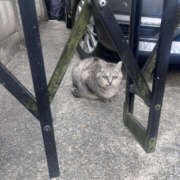 ヒメ日記 2026/02/25 16:46 投稿 ふう ANGEL KISS 池袋